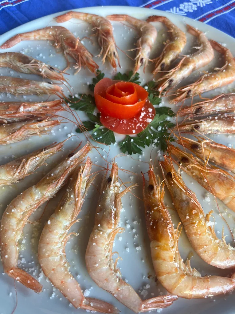 mecanizados-federico-4